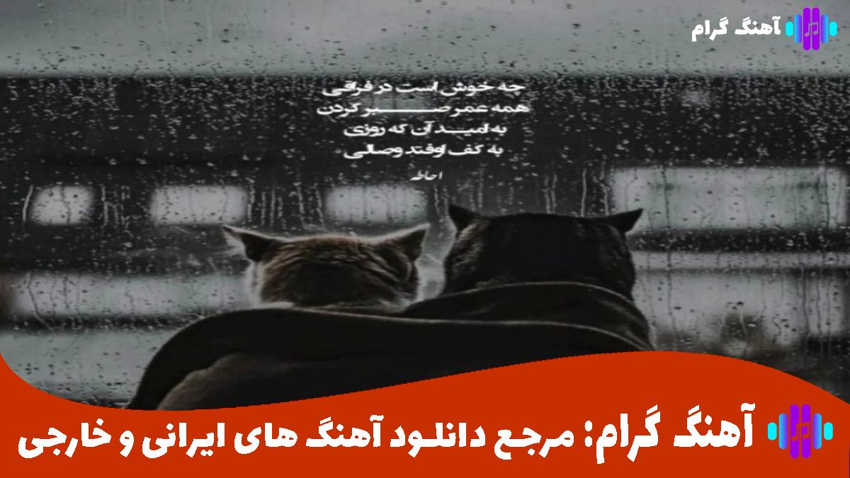 کاور آهنگ دریا بدون تو از علیرضا طلیسچی و بهنام بانی 